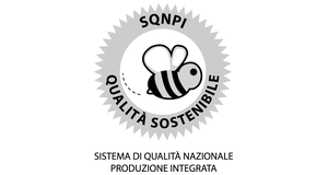 SQNPI_wordpress_300x160